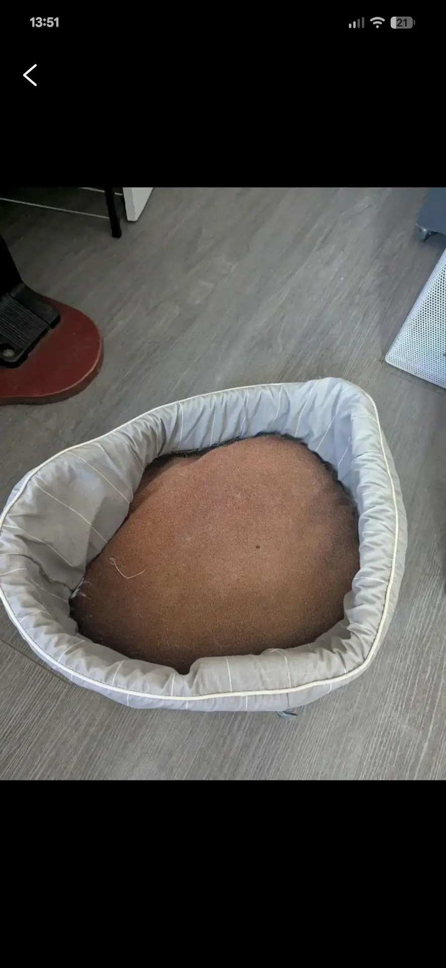 Don n°1