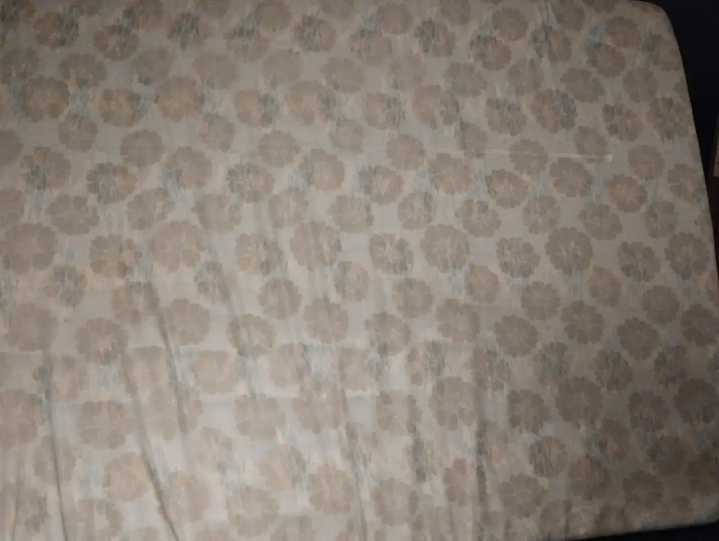 Don n°1