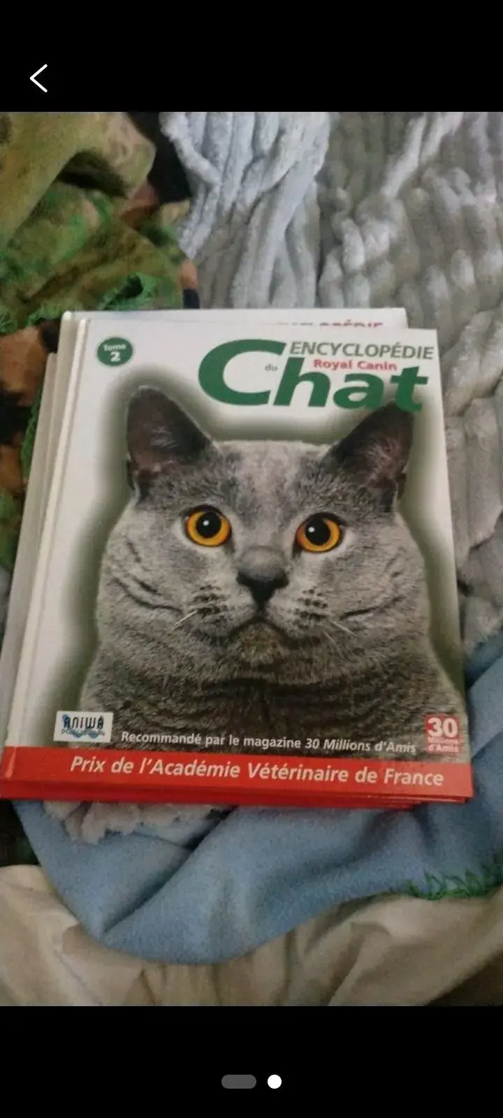 Don n°1