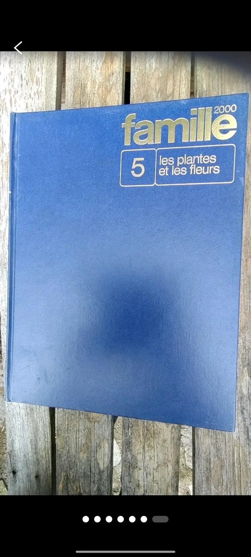 Don n°1
