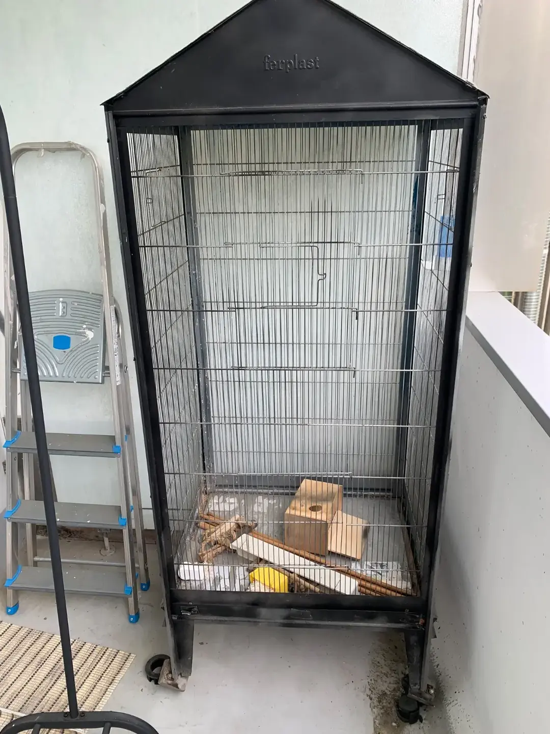 Don n°1
