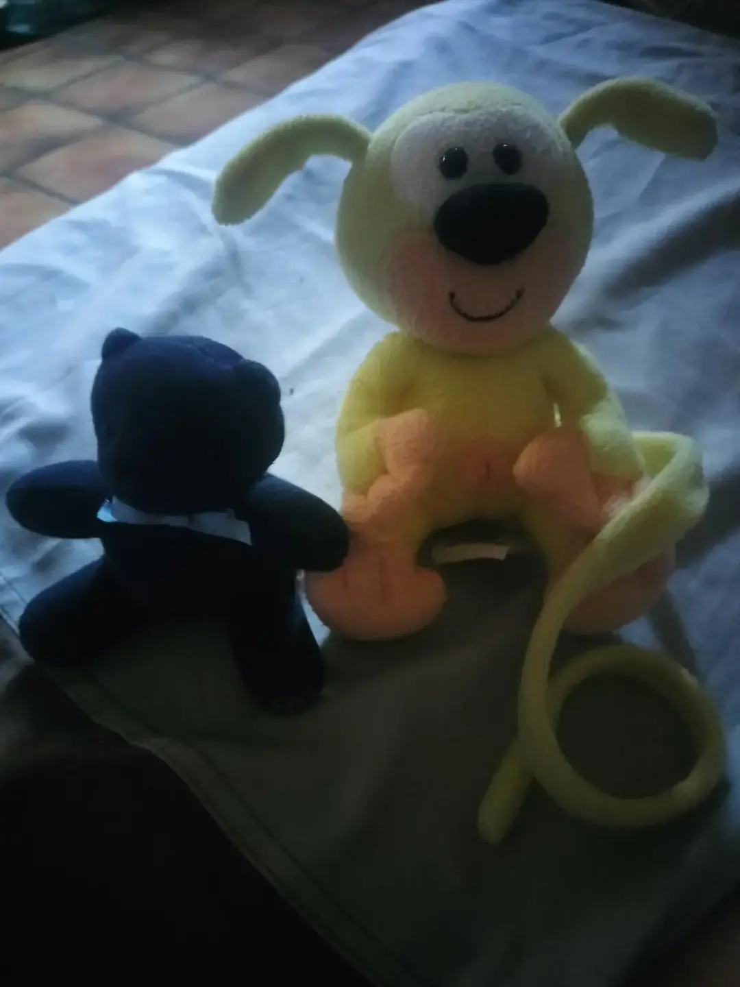 Don n°1