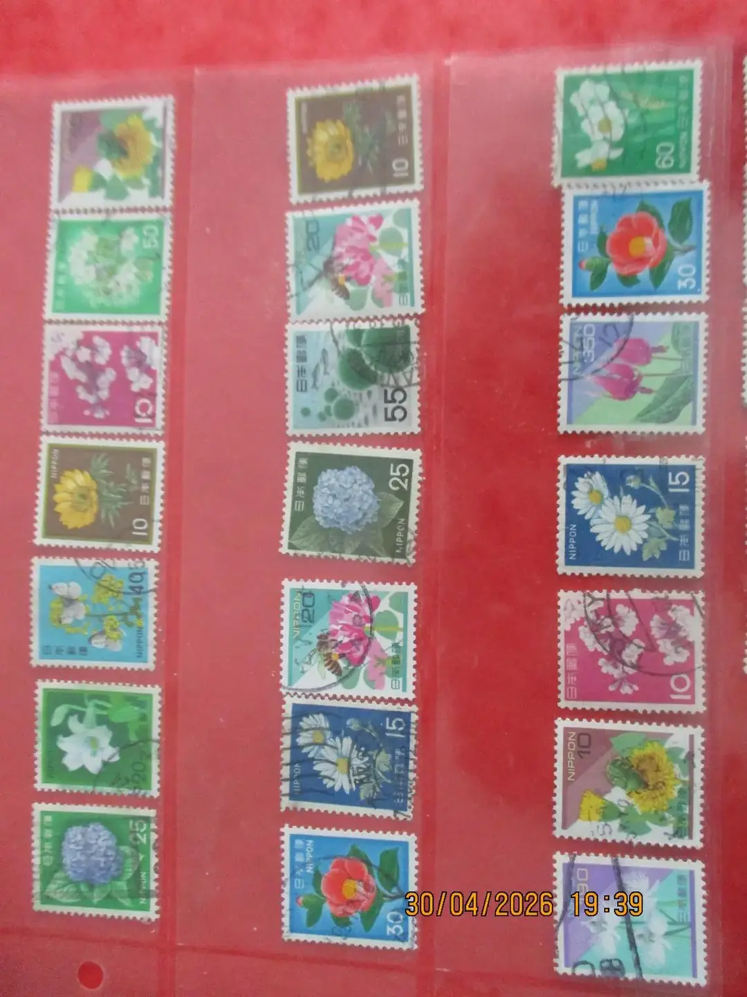Don n°1