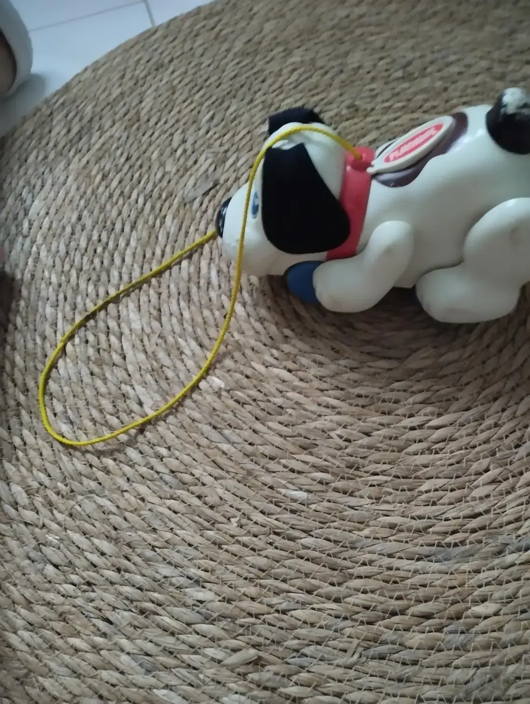Don n°1