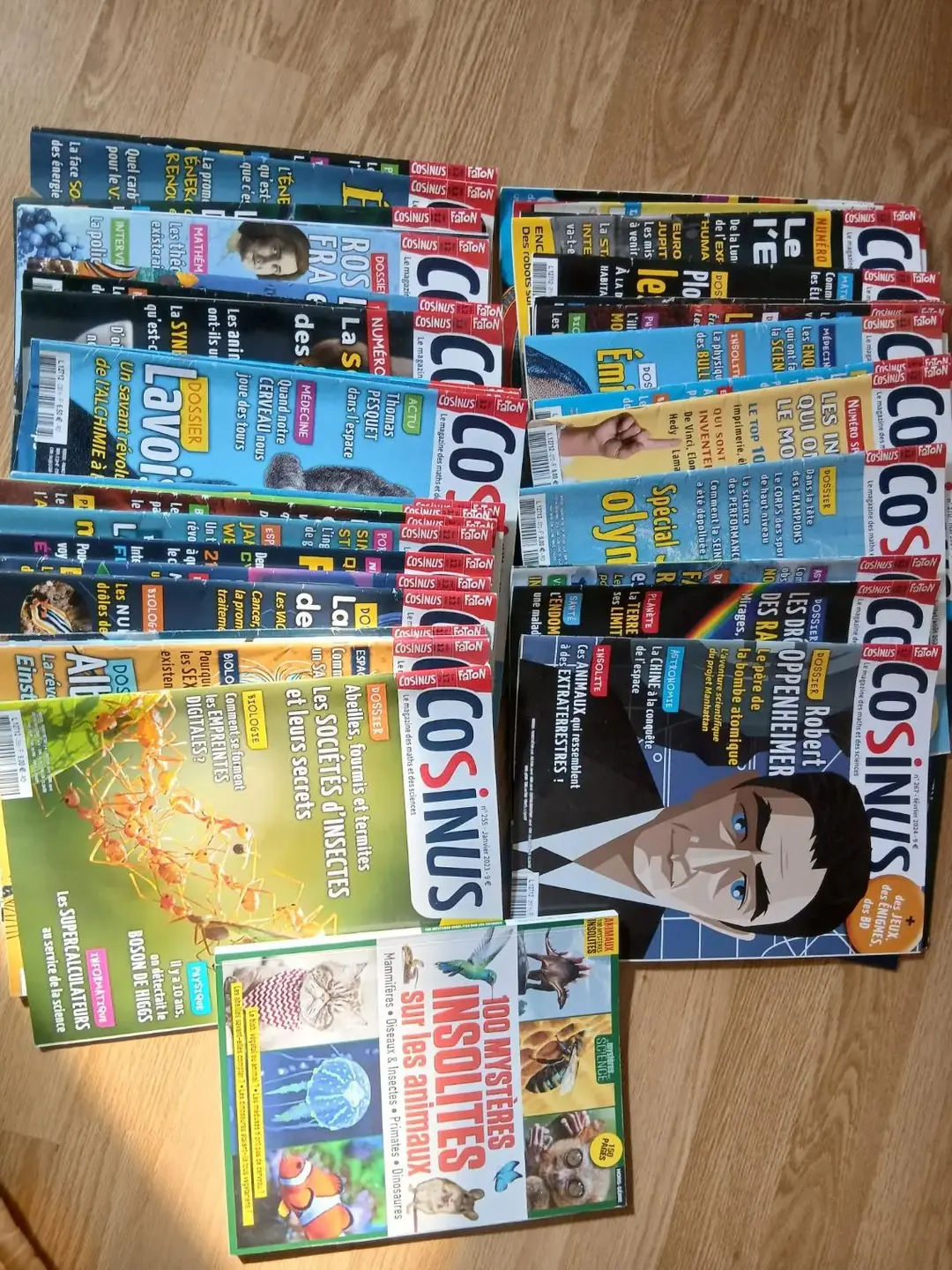 Don n°1
