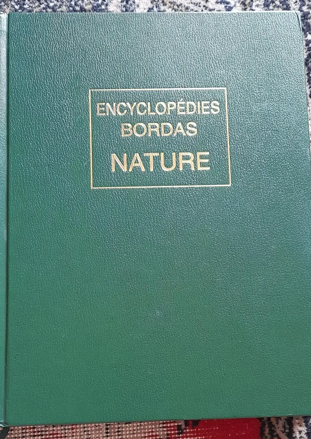 Don n°1