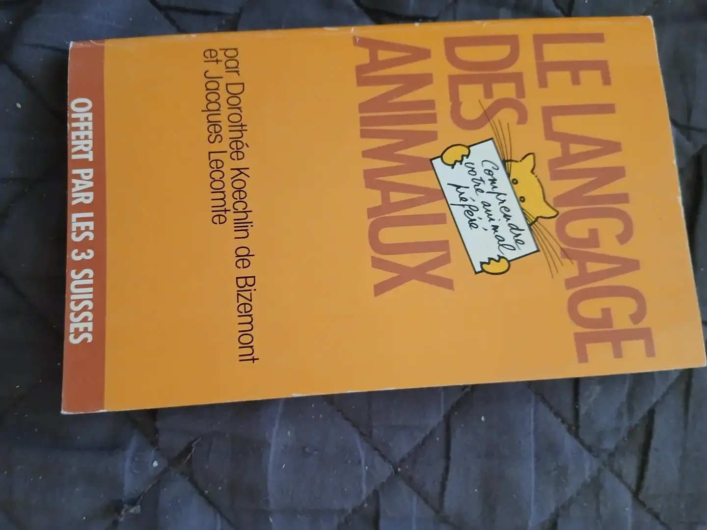 Don n°1