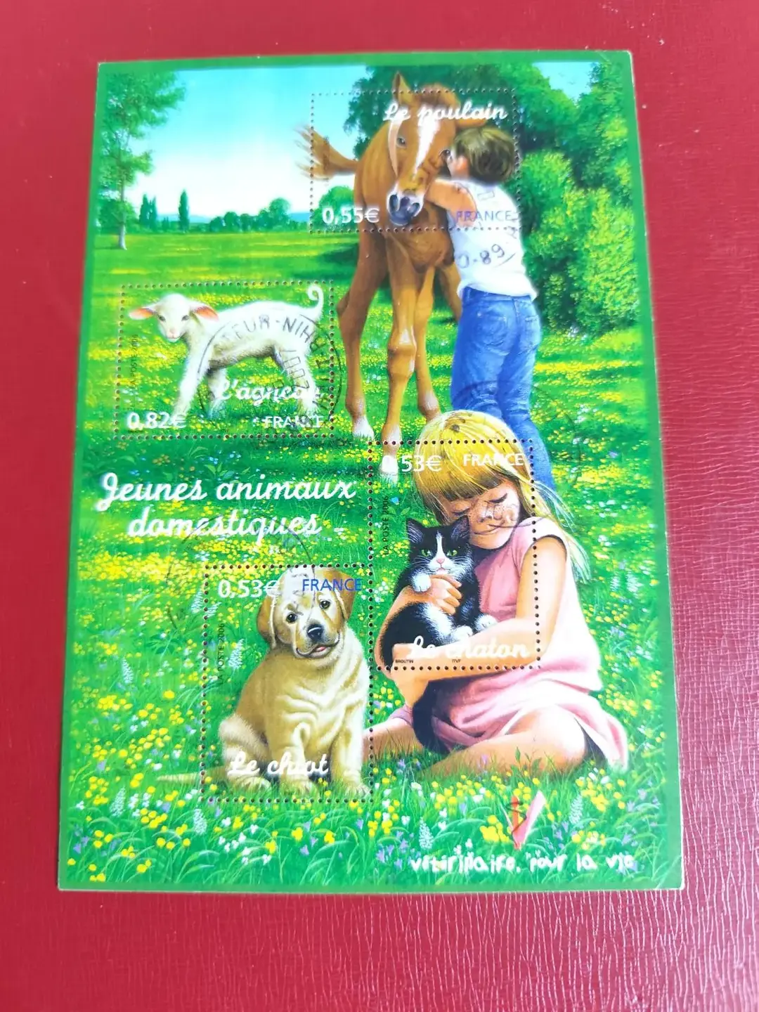 Don n°1
