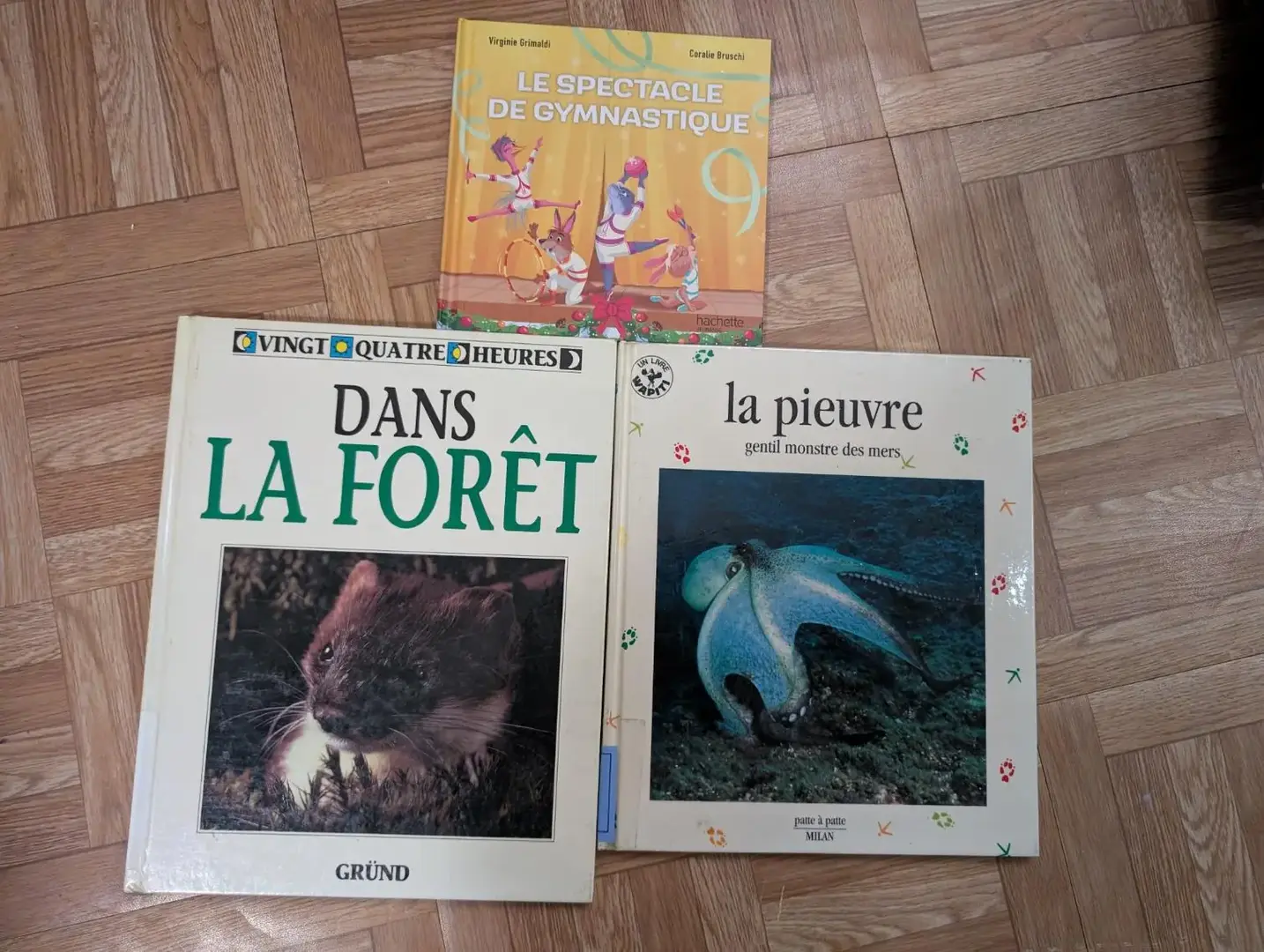 Don n°1