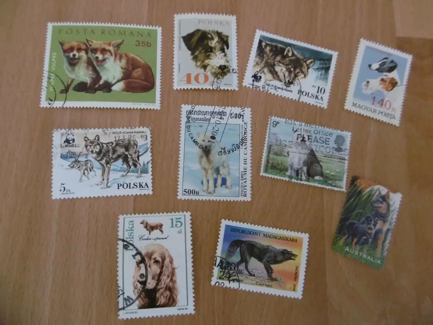 Don n°1