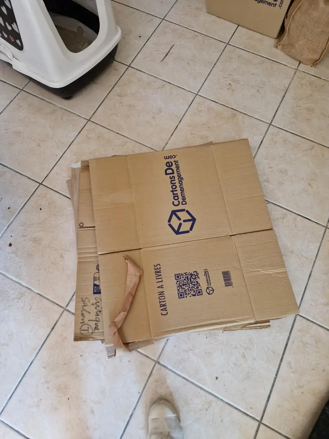 Don n°1
