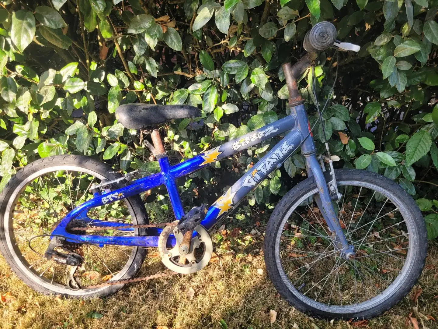Don n°1