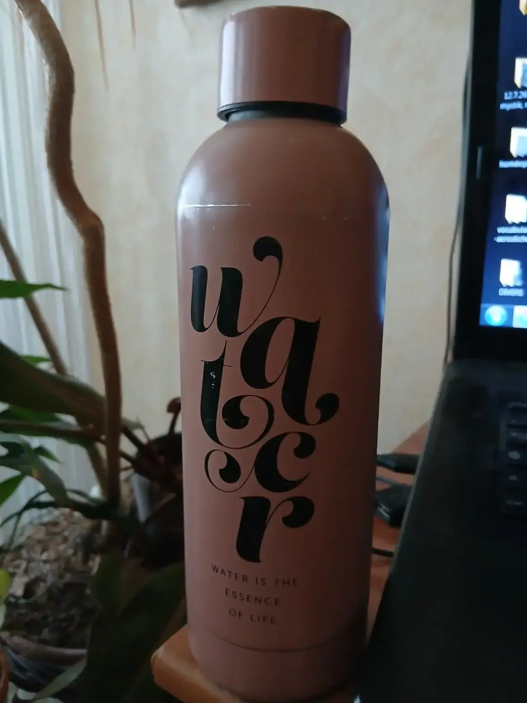 Don n°1