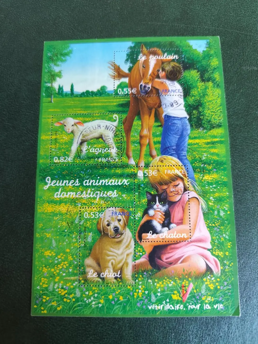 Don n°1