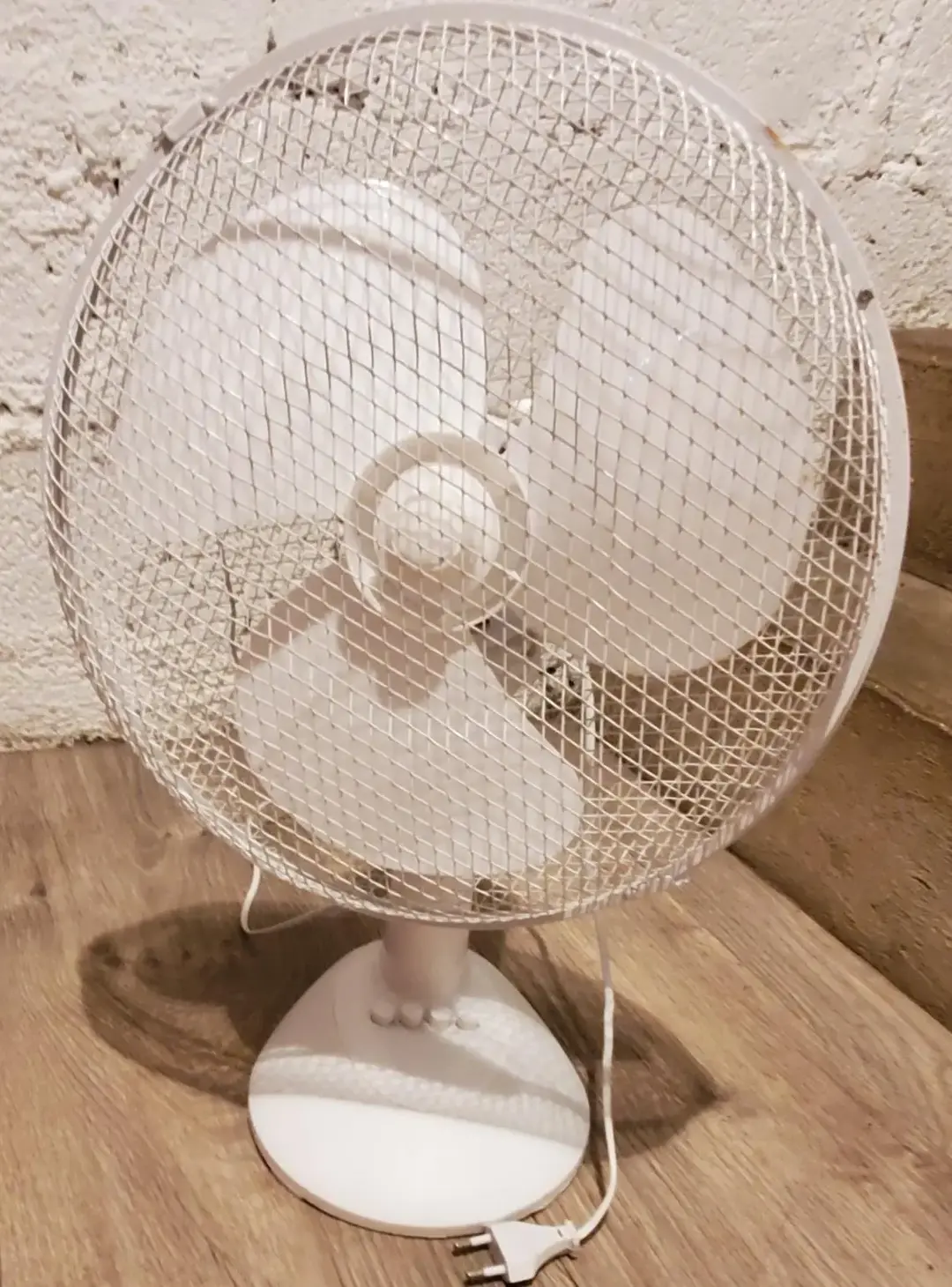 Don n°1