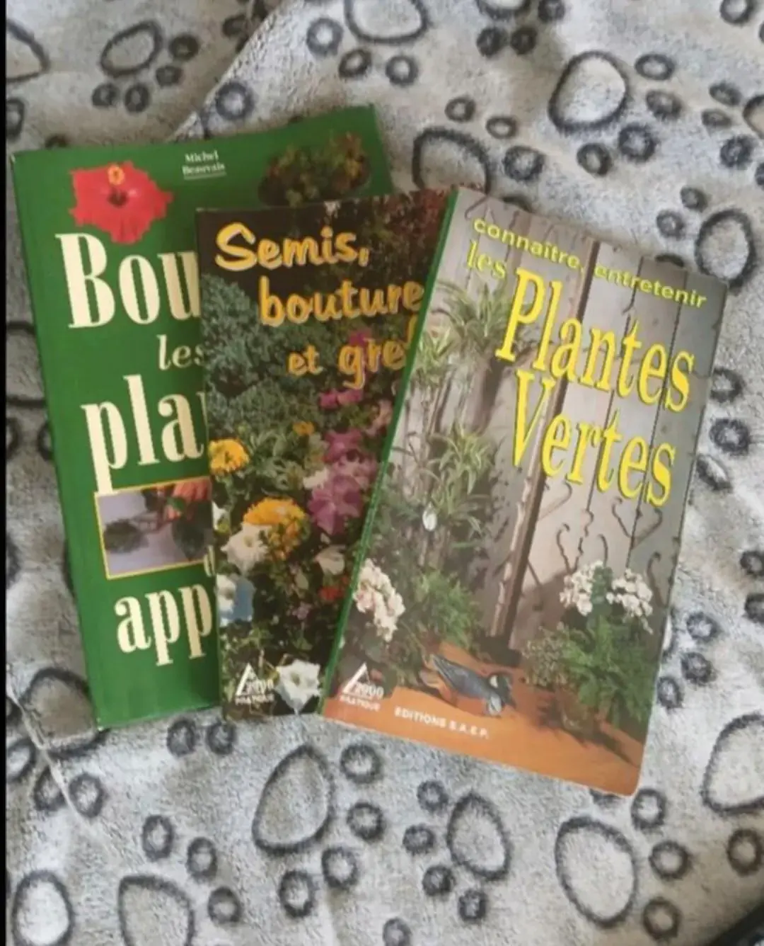 Don n°1