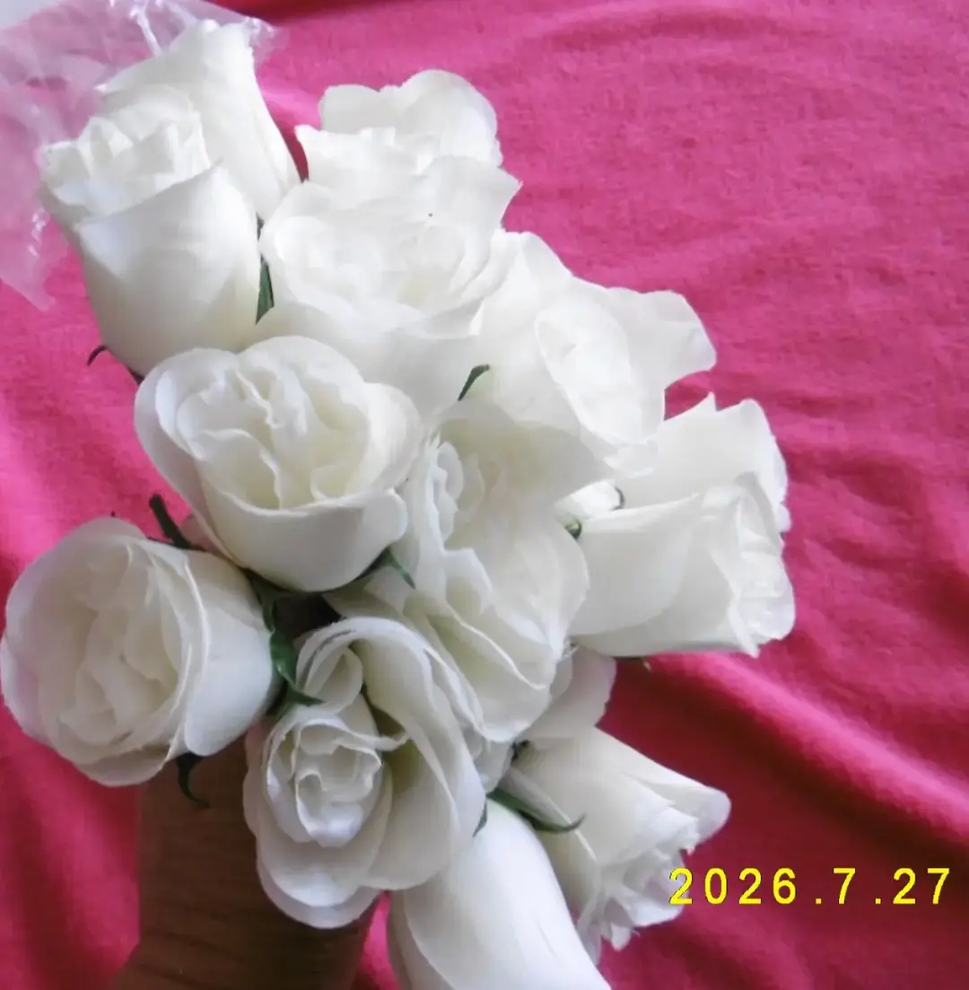 Don n°1