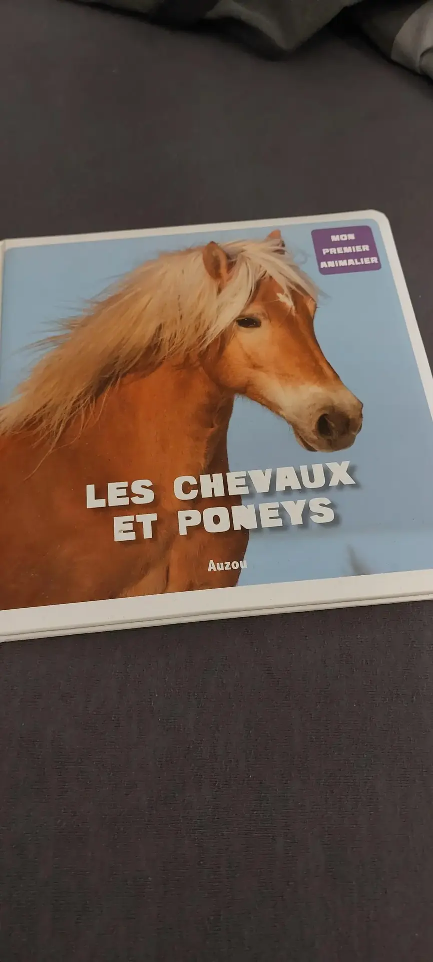 Don n°1