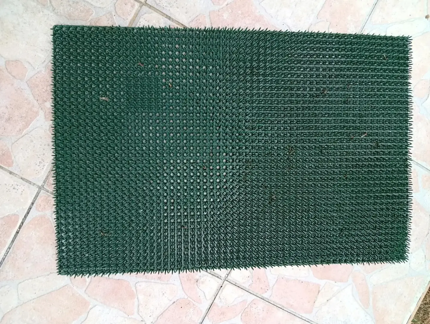Don n°1