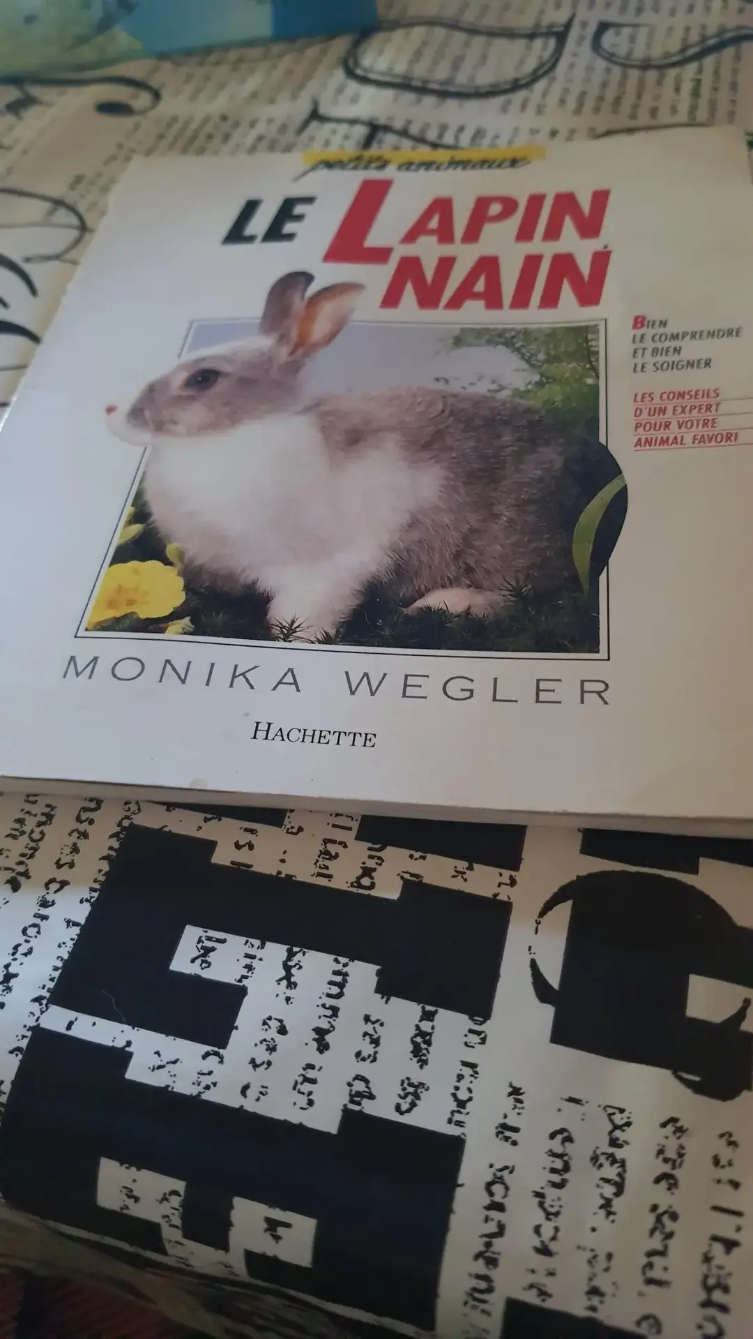 Don n°1
